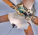 Ceiling Fans Laredo TX